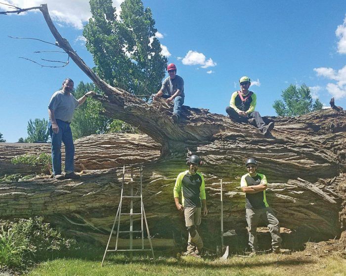 Ridgway Wrench Hours