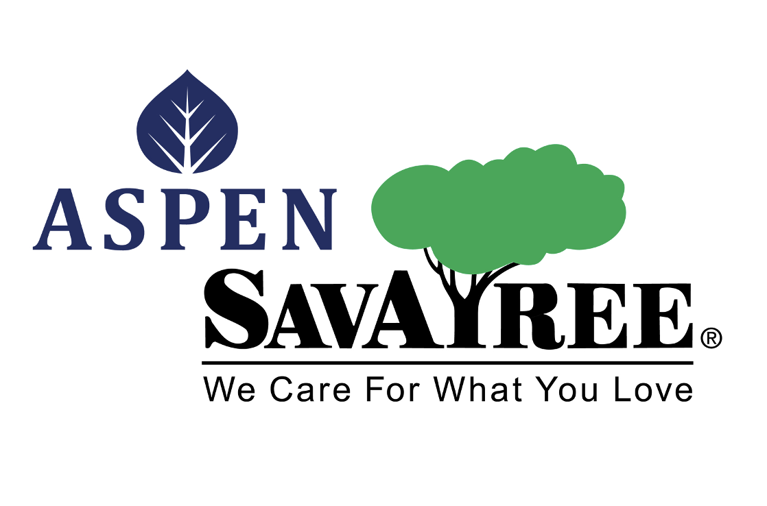 Ridgway Wrench bikes, Evil, Revel, Marin