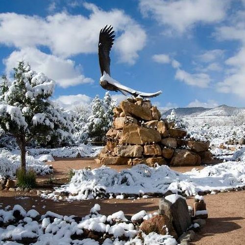 Image for the Wildlife Viewing