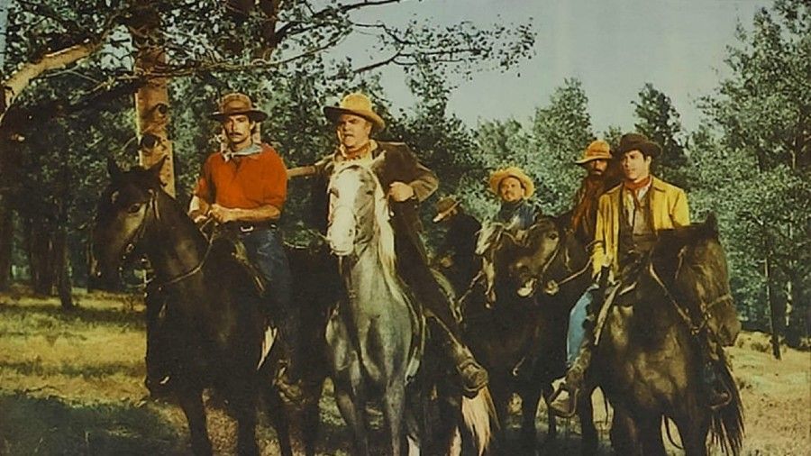 Tribute to a Bad Man poster