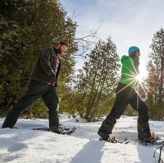Image of people snowshoeing
