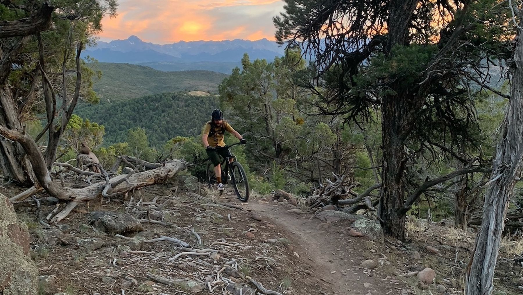 Image of a Man riding  a bike