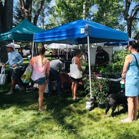Ridgway Farmers Market plants