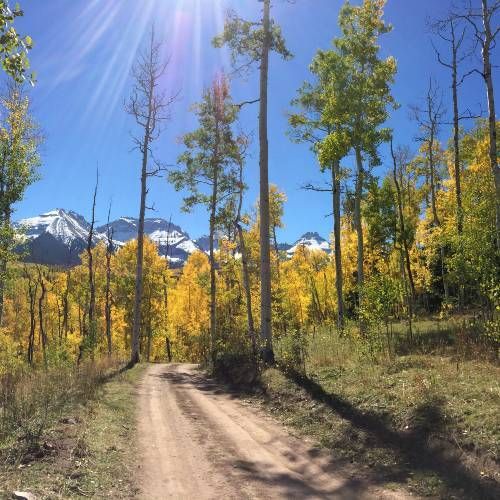 Biking on County Road 5 above Ridgway